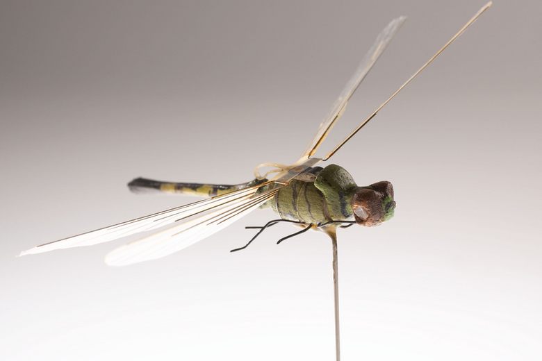 Dragonfly drone company sale