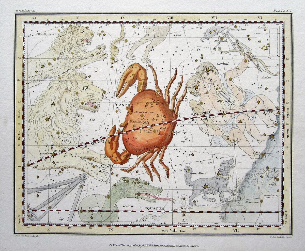 Cancer, the crab, between two other signs of the zodiac.