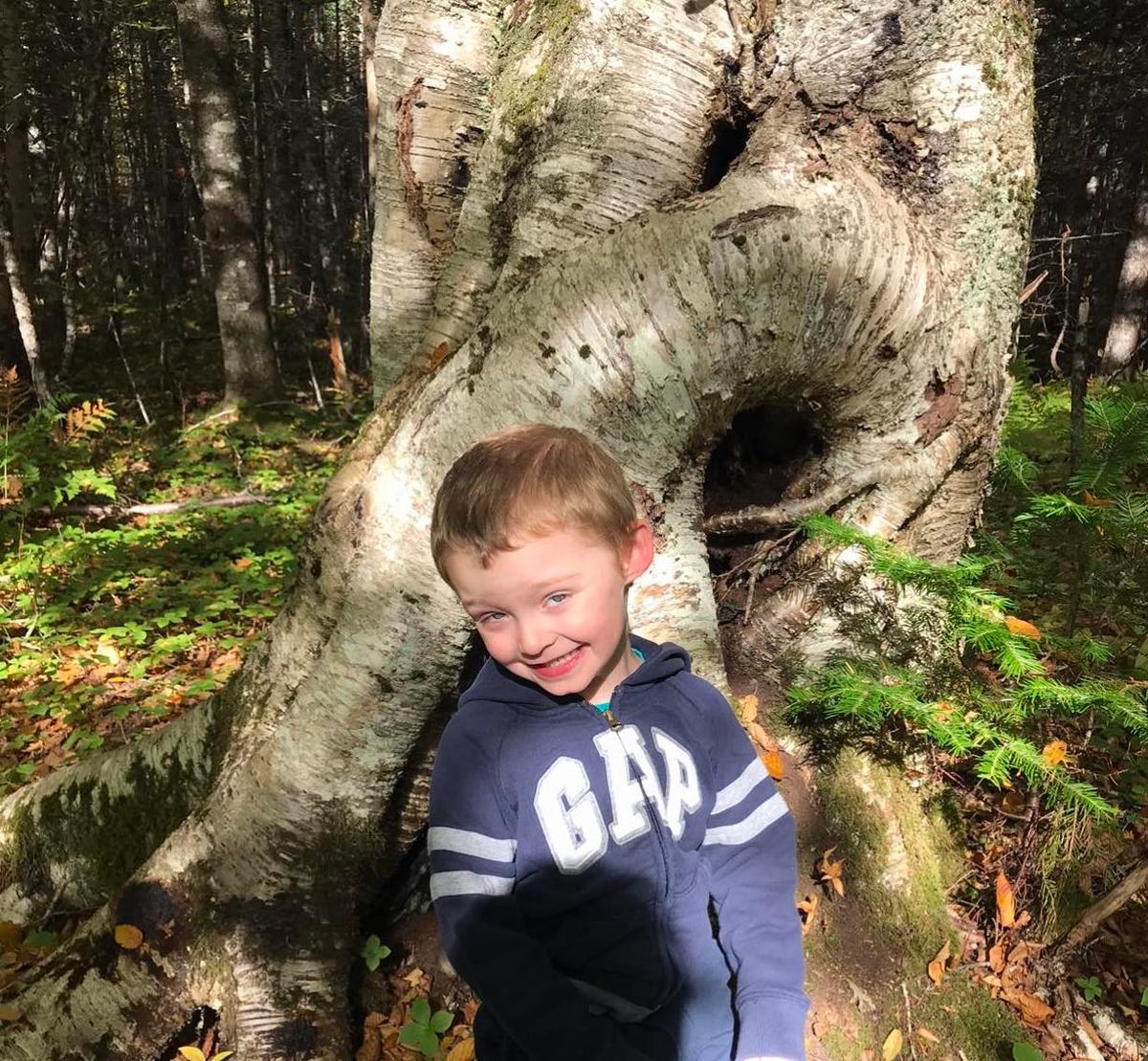 Even before she got a head, hikers took note of the tree's unique shape. Local Tori Hinks's mother took this photo of Tori's son in front of the tree four years ago. 