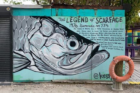 The Legend of Scarface