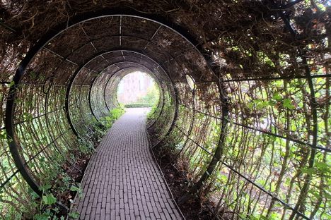 Alnwick Poison Garden