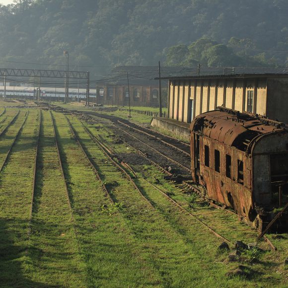 Preserved Steam in Brazil