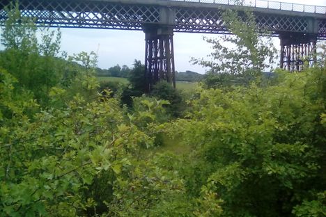 Bennerley Viaduct