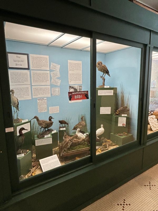 Elgin Public Museum in Elgin, Illinois