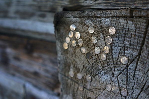 22-gauge shell casing initials hammered into the cabin's end beams mark the presences of trappers, loggers and miners 