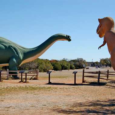Dinosaur Valley State Park 