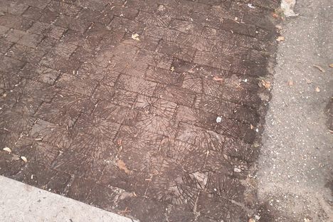 Street paved with wood.