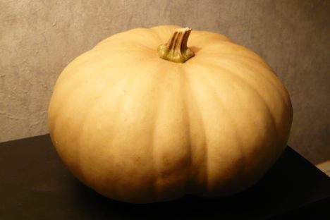 Long Island Cheese Pumpkin