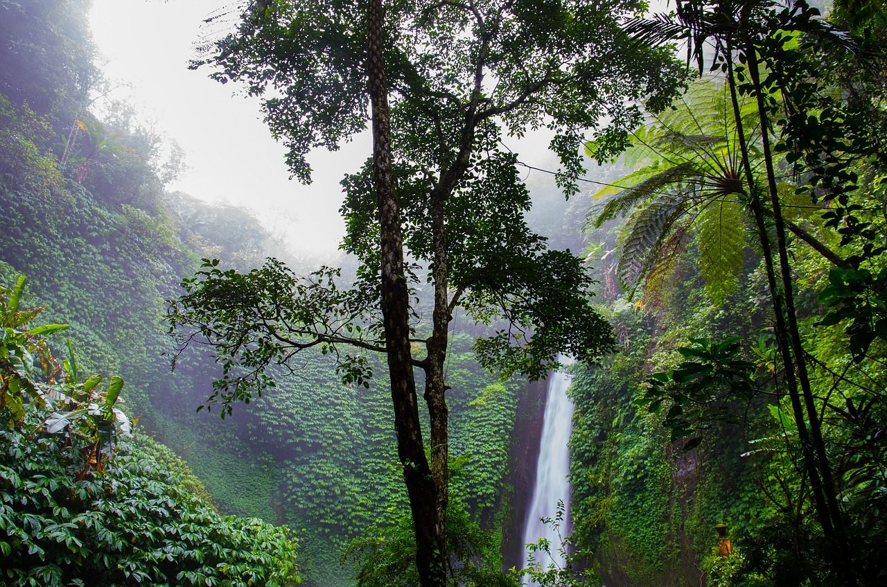 Recent estimates suggest that there are between 2 and 12 million new species yet to be identified.