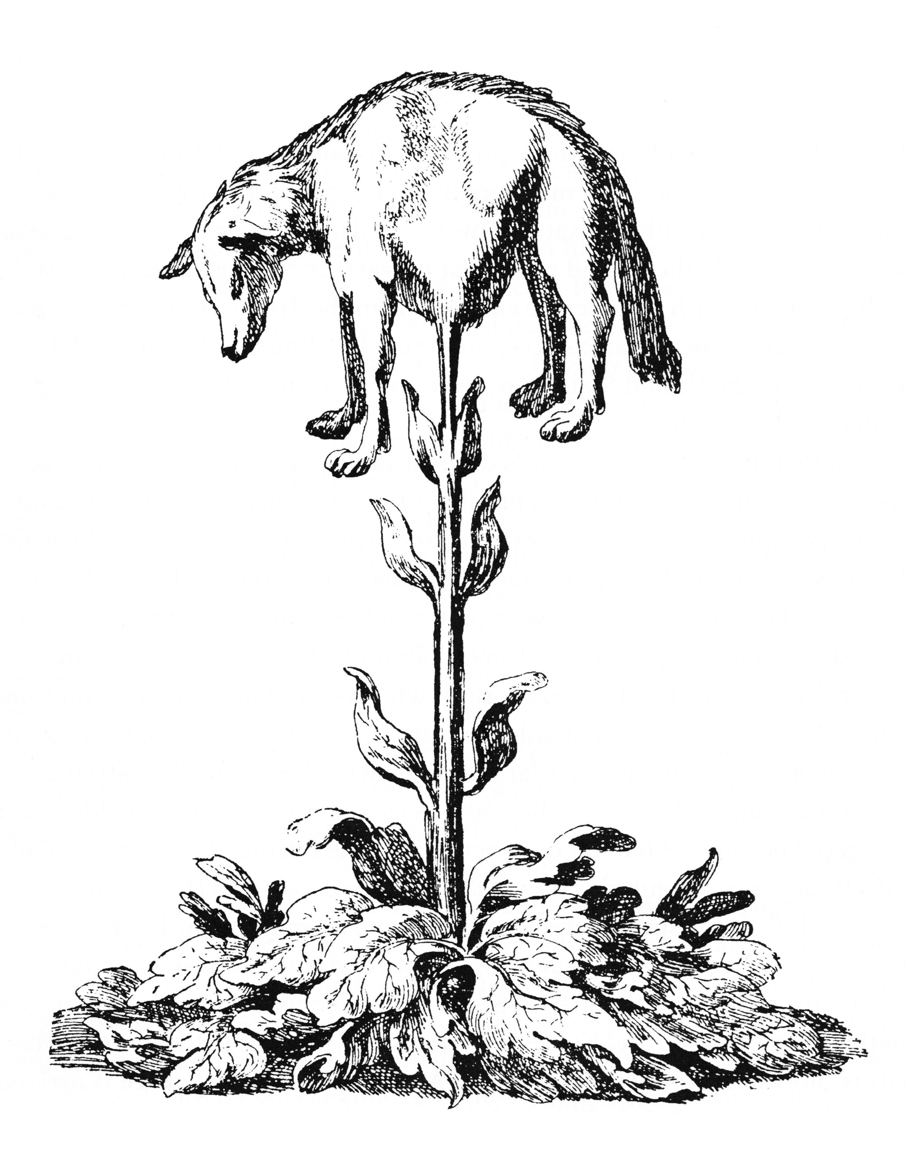 Behold the tall, teetering vegetable lamb!