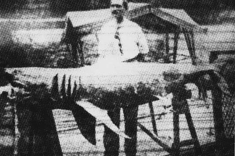 The Shark Attack No One Was Expecting and Inspired 'Jaws'