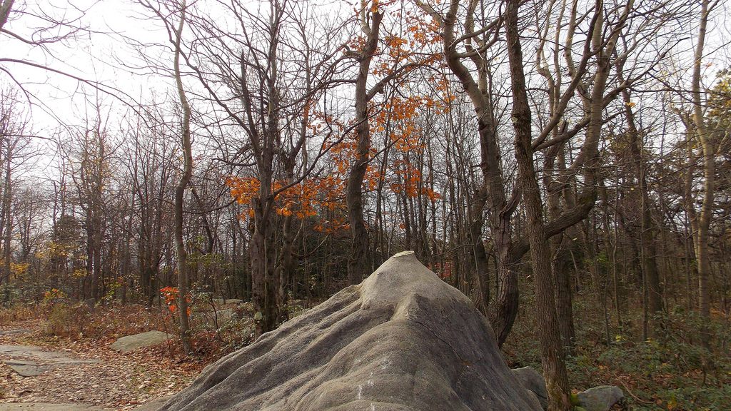 Mount Davis.