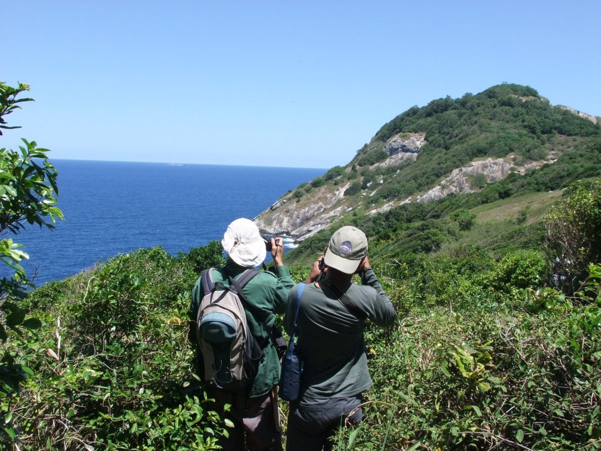 Researchers Carlos Abrahão (left) and Ricardo Augusto Dias are among a handful of scientists permitted access to Snake Island to conduct fieldwork.
