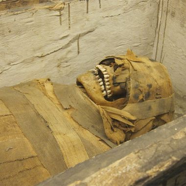 One of the four mummies