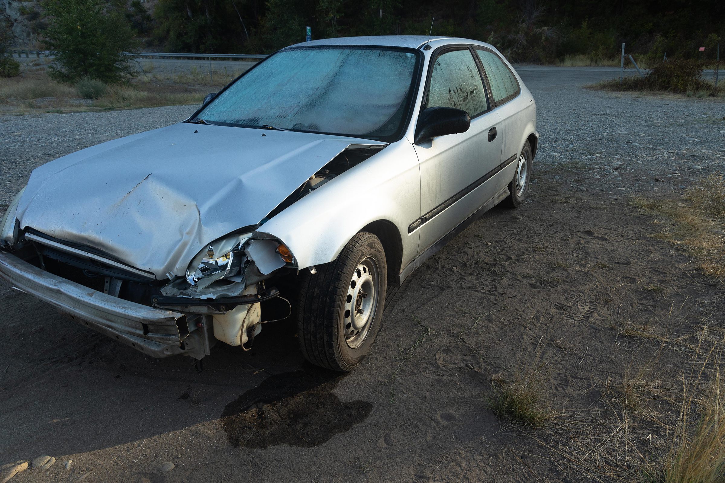 A car, severely damaged by an animal strike, sits just down the road from a dead black bear.