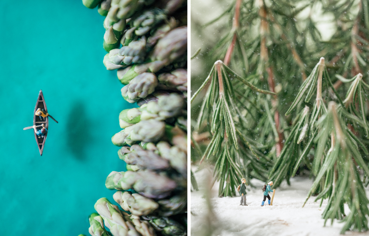 Jello Lake (left) and Rosemary Forest (right).