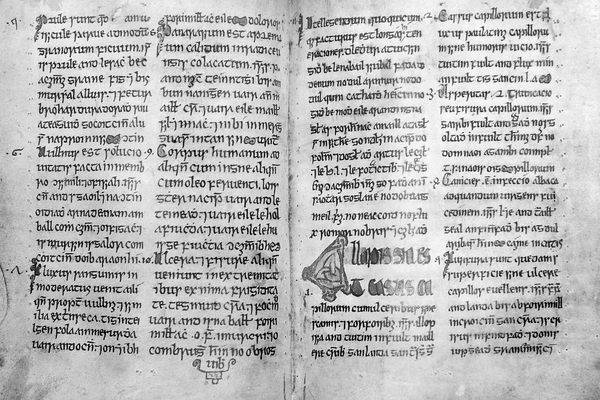 A 15th-century medical manuscript in Gaelic. No spaces here!