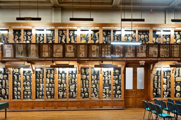 Le Musee des Moulages