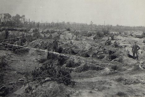 Life in the trenches was crowded, when you factor in all the humans, rats, and lice.