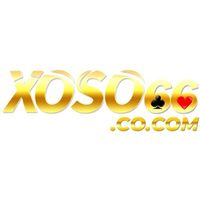 Profile image for xoso66cocom1