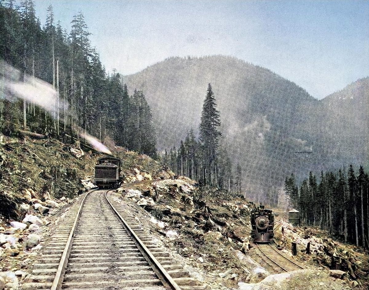 The Great Northern Railway, seen here at Stevens Pass in Washington State, has a long history in the Christmas tree industry.