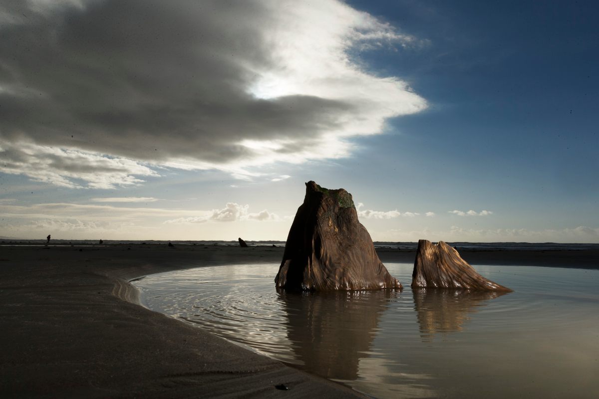 The stumps visible on the beach at Cardigan Bay can resemble islands at sea.