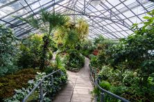 A 16,000-square foot greenhouse in downtown Toronto has rooms dedicated to a range of climates stocked with ecosystem-appropriate plants, flowers, and animals.