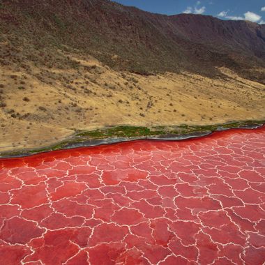 Soda and algae formations near the shore of Lake Natron.