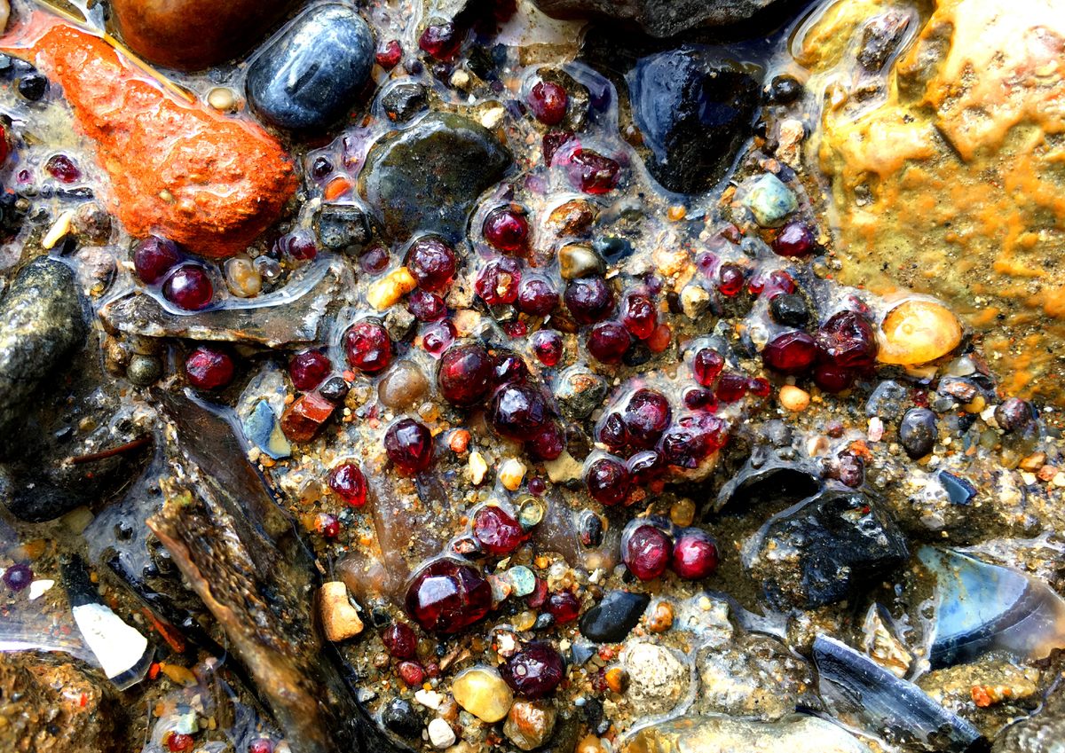 Thames garnets tend to appear in specific spots along the riverbank, but those locations are carefully guarded among mudlarks.