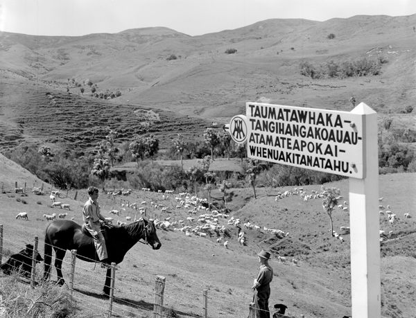 www.atlasobscura.com