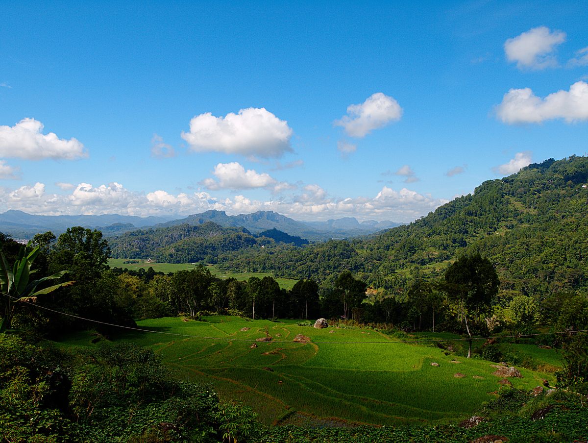 Sulawesi is a volcanic and cave-ridden island governed by Indonesia.