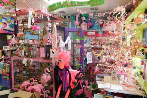 That's a lot of flamingos.