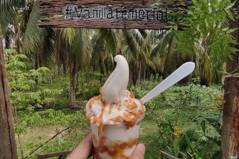 Amani Vanilla 