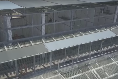 Arizona's (No Longer) Mysterious Monkey Farm