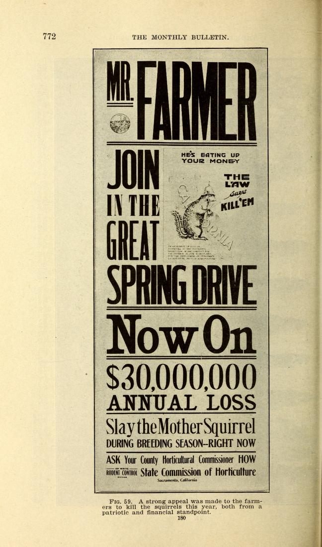 An appeal to farmers to kill squirrels.