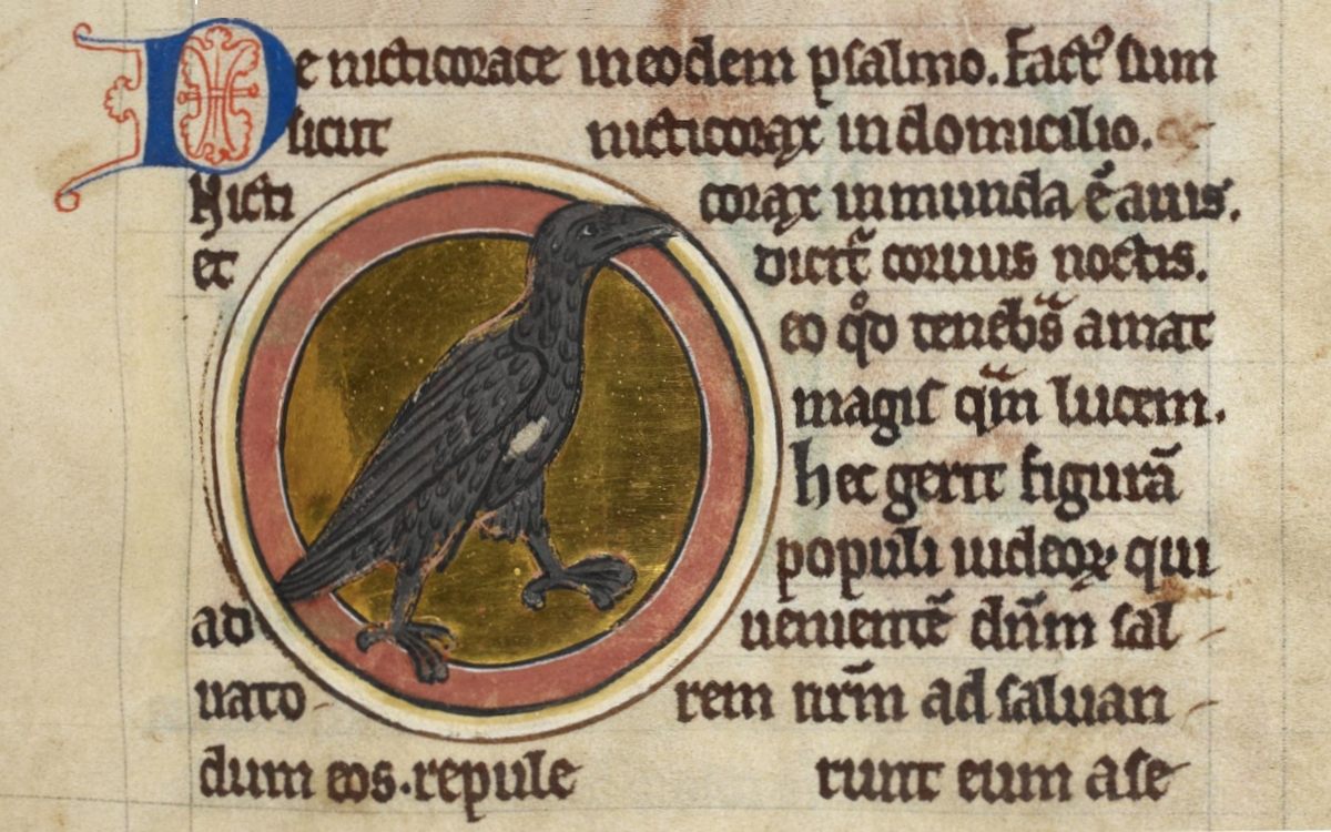 The "nycticorax" entry in a 13th-century bestiary.
