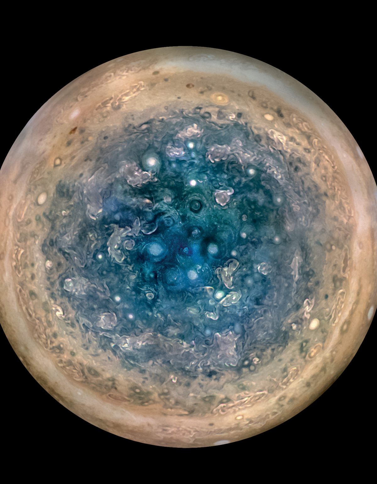 giant fish on on planet jupiter