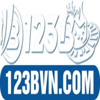 Profile image for 123bvninfo