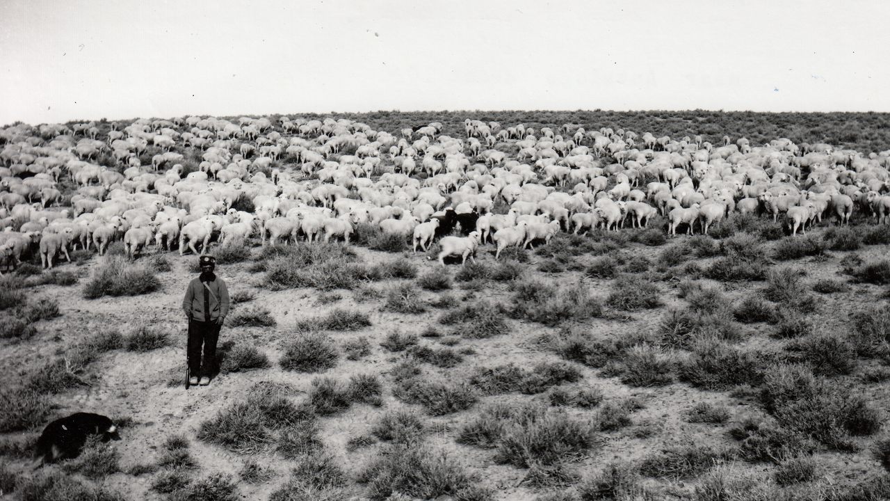 Nevada’s Basque community began with sheepherders, who settled here in the late 19th century. 
