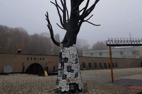 The Bronze tree.
