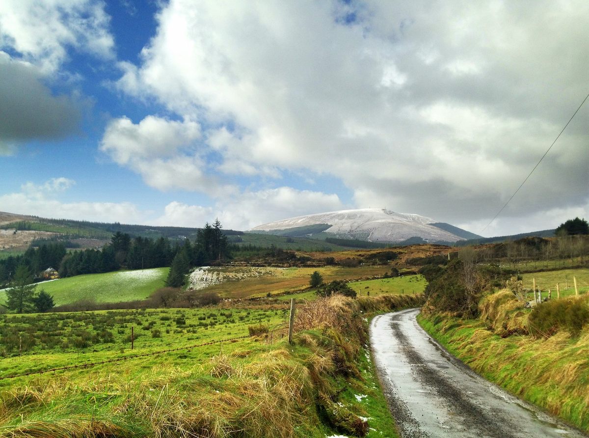 When Bridget ventured out to deliver eggs on March 4, 1895, a dusting of snow still covered the dirt roads of Tipperary. 