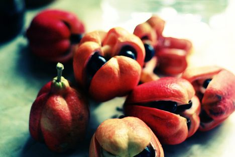 The ackee's yellow portion is edible, but the black seeds are toxic.