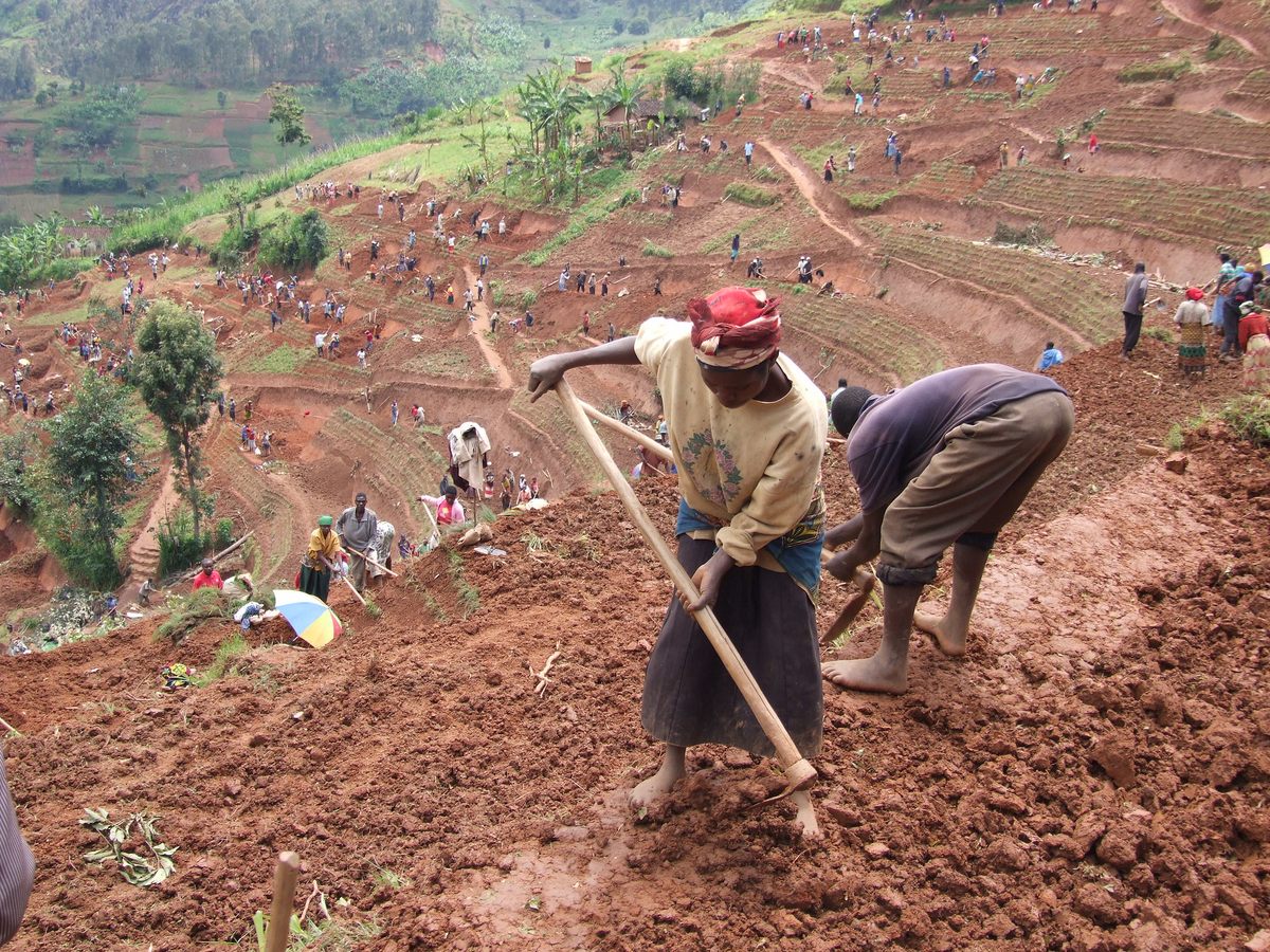 At a public works site in northern Rwanda, women and men build terraces to prevent soil erosion, which can threaten safety, ecosystem health, and agricultural productivity.