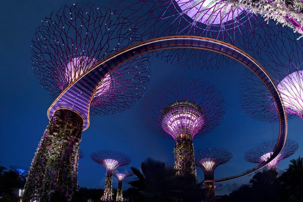 57 Cool and Unusual Things to Do in Singapore - Atlas Obscura