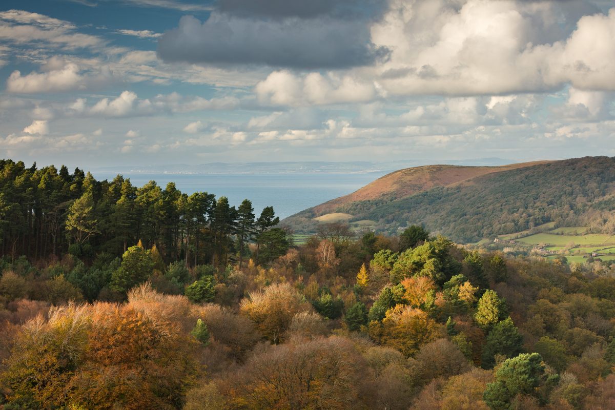 The Holnicote Estate sits within Exmoor National Park.