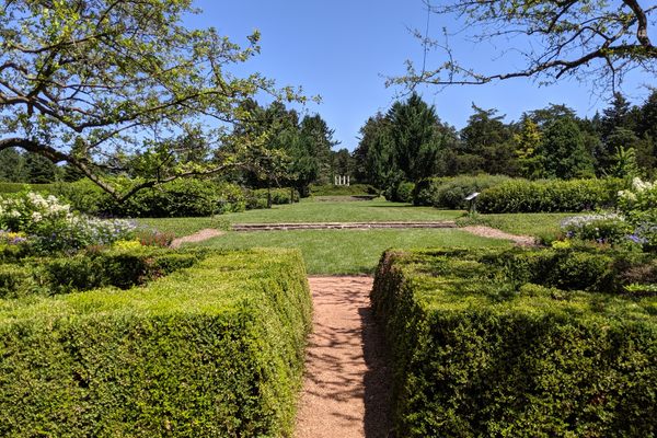 View of Columns from Hedge Garden