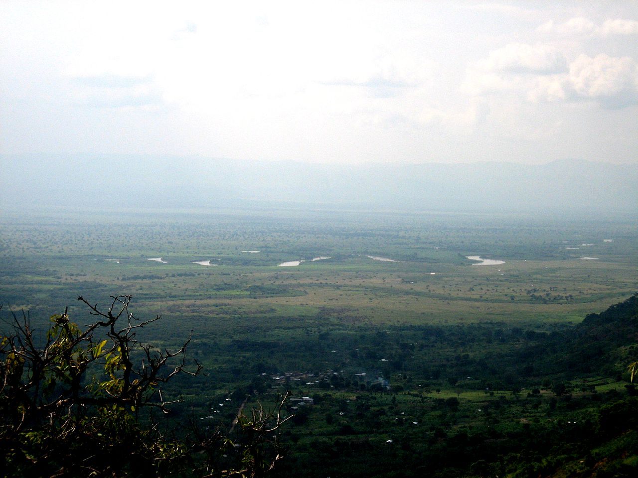 The vast Albertine Rift in Africa is home to a wide array of species.