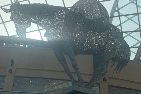 Equus Altus