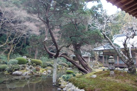The pond and temple. 