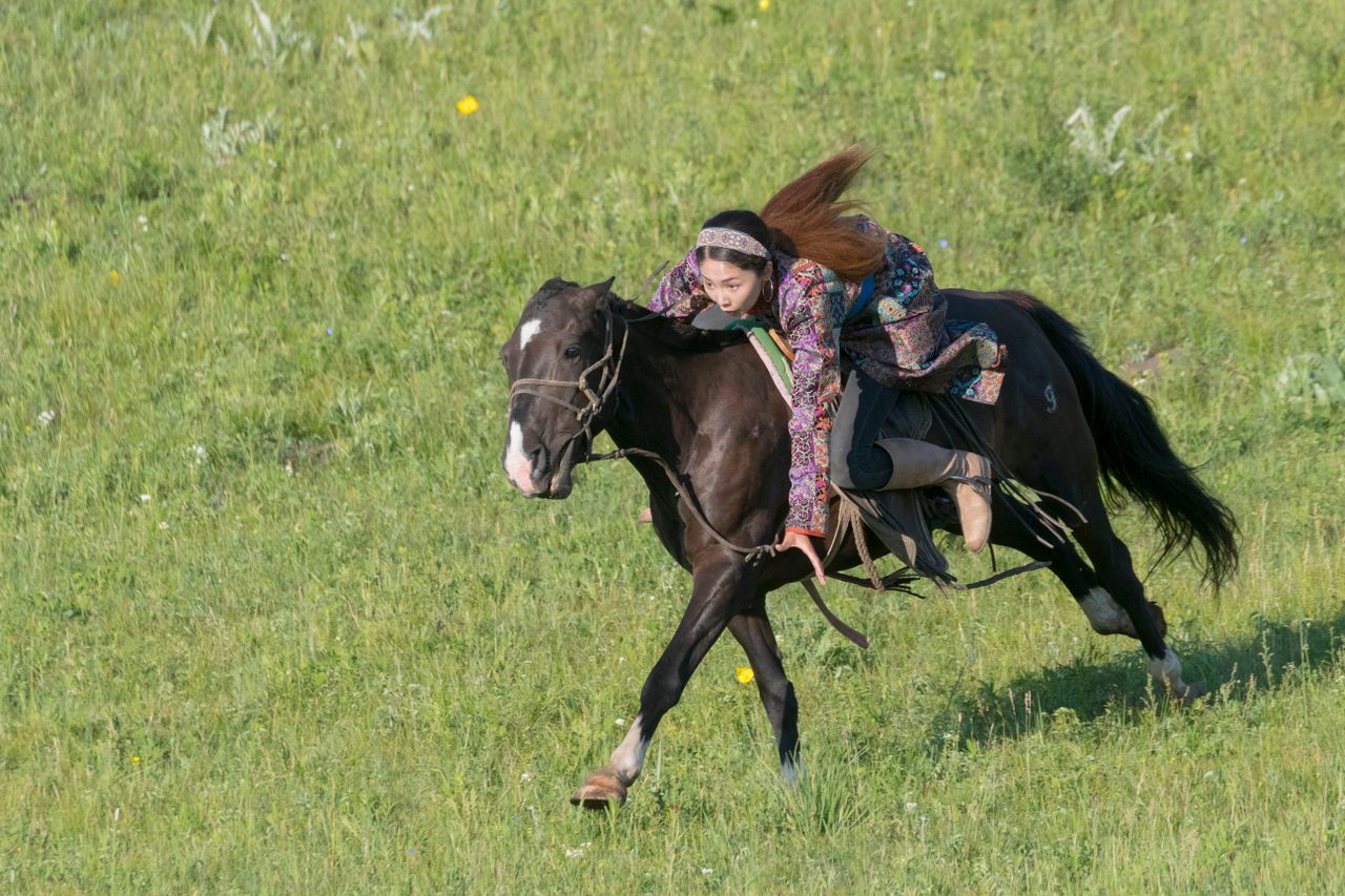 Mongol warriors often had three or four horses each to maintain the army's fast pace. Soldiers preferred riding mares for their nutrient-rich milk.